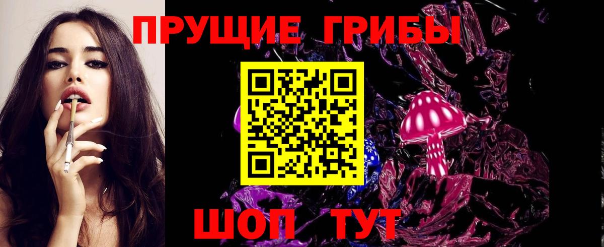 Ачинск  Псилоцибиновые грибы MAGIC MUSHROOMS  Вход с VPN 